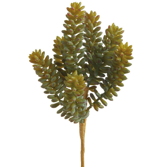 8" Sedum Pick Two Tone Green