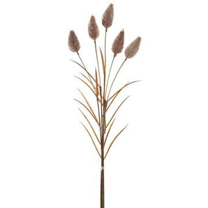 24" Foxtail Bundle (Taupe) - Florals and Foliage