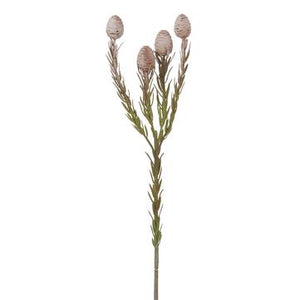 
            
                Load image into Gallery viewer, 22&amp;quot; Leucadendron Spray Gray Chocolate - Florals and Foliage
            
        