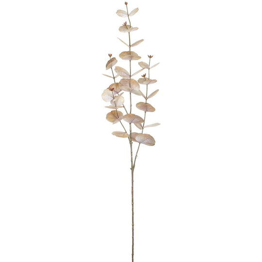 35" Eucalyptus Leaf Spray  Cream