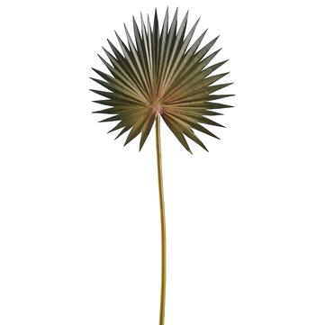
            
                Load image into Gallery viewer, 15.5&amp;quot; Fan Palm Spray ( Green ) - Florals and Foliage
            
        