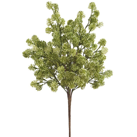 19" Soft PE Sedum Bush  Cream Green