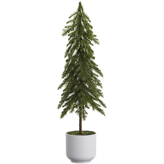 23" Pine Tree In Plastic Pot