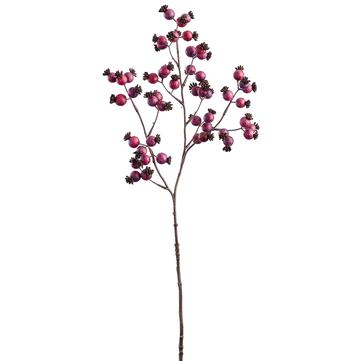 
            
                Load image into Gallery viewer, 27&amp;quot; Rosehip Spray Boysenberry
            
        