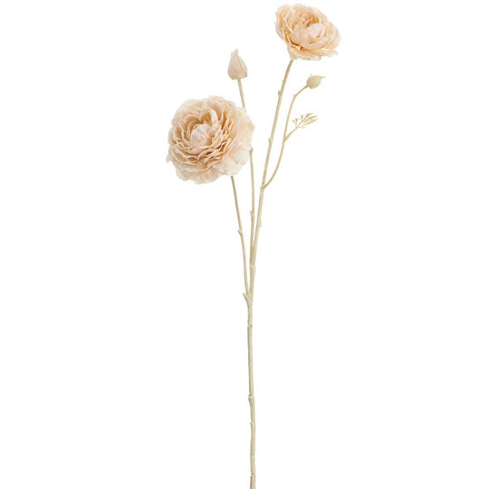 23" Ranunculus Spray Cream