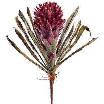 17" Dried-Look Red Hot Poker Spray Purple Burgundy