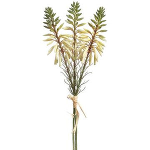 15" Agave Flower Bundle x3 ( Cream/Green )