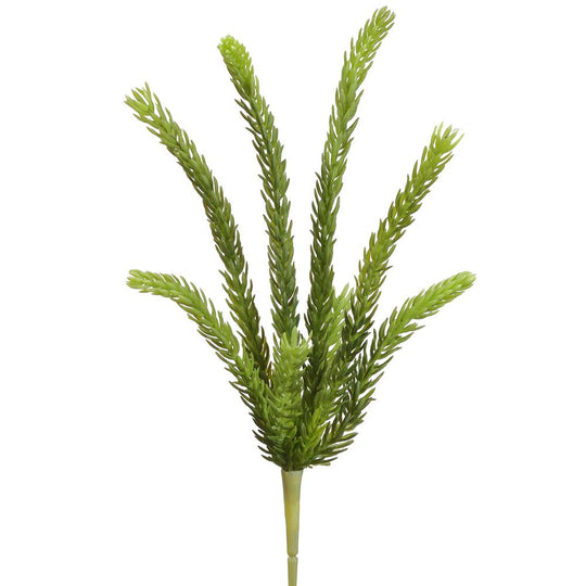 15" Senecio Pick Light Green