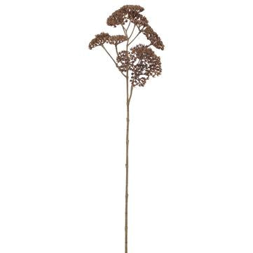 
            
                Load image into Gallery viewer, 21&amp;quot; Yarrow Spray ( Brown )
            
        