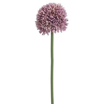 17.5" Allium Spray ( Lavender ) - Florals and Foliage