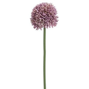
            
                Load image into Gallery viewer, 17.5&amp;quot; Allium Spray ( Lavender )
            
        