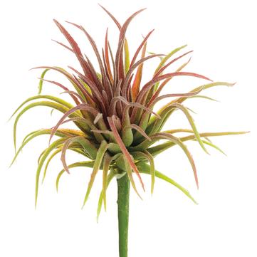 6" Tillandsia Pick ( Green / Red )