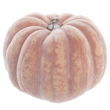 4" Orange Whitewashed Pumpkin