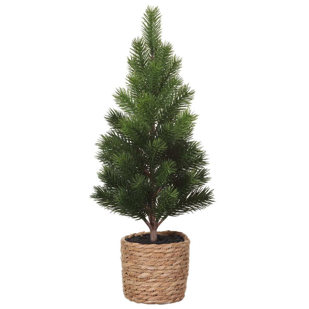 18" Pine Tree in Basket - Florals and Foliage