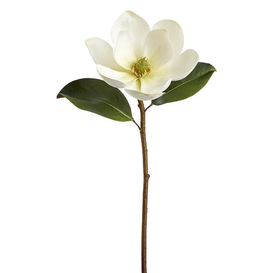 23" Magnolia Spray (Cream)