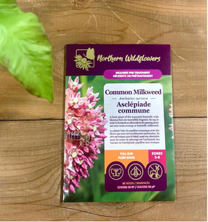 Northern Wildflowers Common Milkweed- Seed Pack 80  Count