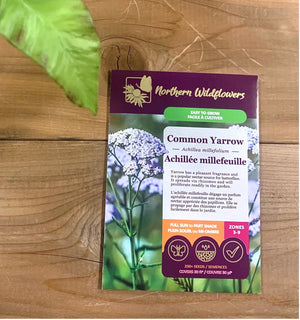 Northern Wildflowers Common Yarrow- Seed Pack 200 Count