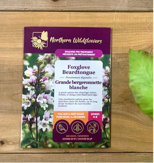 Northern Wildflowers Foxglove Beardtongue- Seed Pack 200  Count
