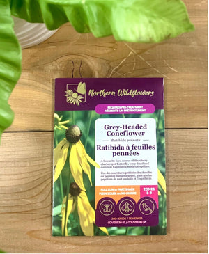Northern Wildflowers Grey- Headed Coneflower- Seed Pack 200  Count