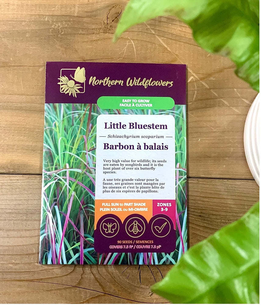 Northern Wildflowers Little Bluestem- Seed Pack 90  Count
