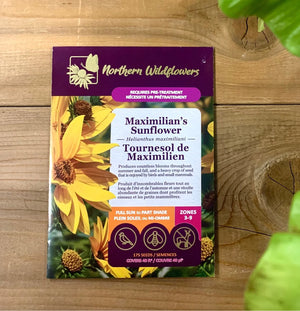 Northern Wildflowers Maximilians's Sunflower Seed Pack 175 Count