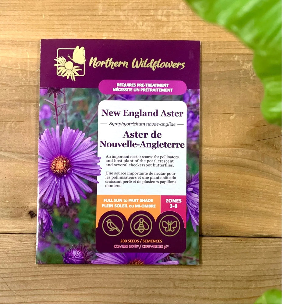 Northern Wildflowers New England Aster- Seed Pack 200  Count