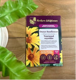 Northern Wildflowers Oxeye Sunflower- Seed Pack 40  Count
