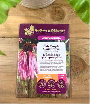 Northern Wildflowers Pale Purple Coneflower- Seed Pack 50  Count