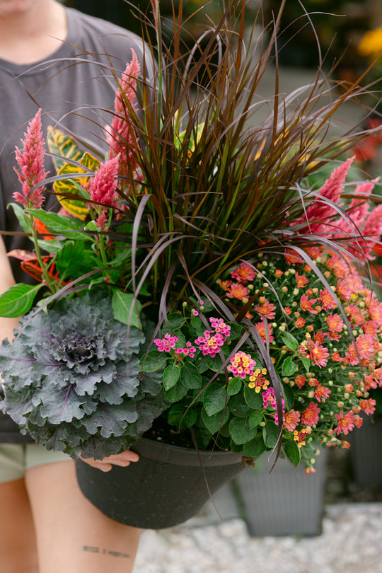 14" Fall Planter Bowl (Grower's Choice)