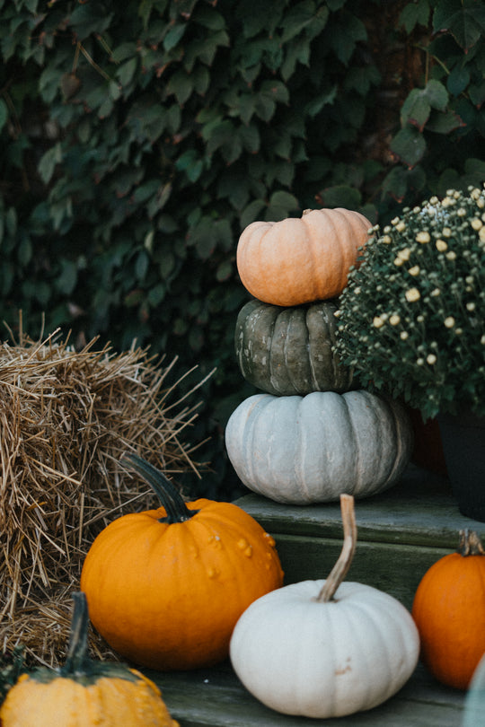 Specialty Pumpkin Stack - small top