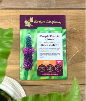 Northern Wildflowers Purple Prairie Clover- Seed Pack 125  Count