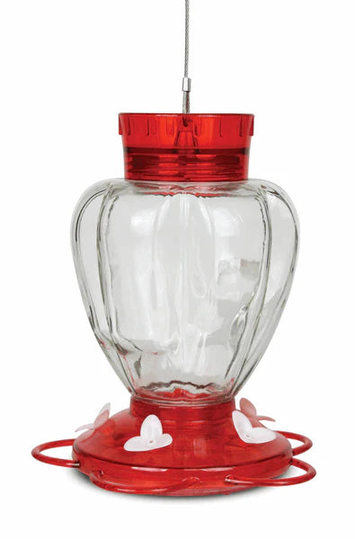 29 oz Glass Hummingbird Feeder