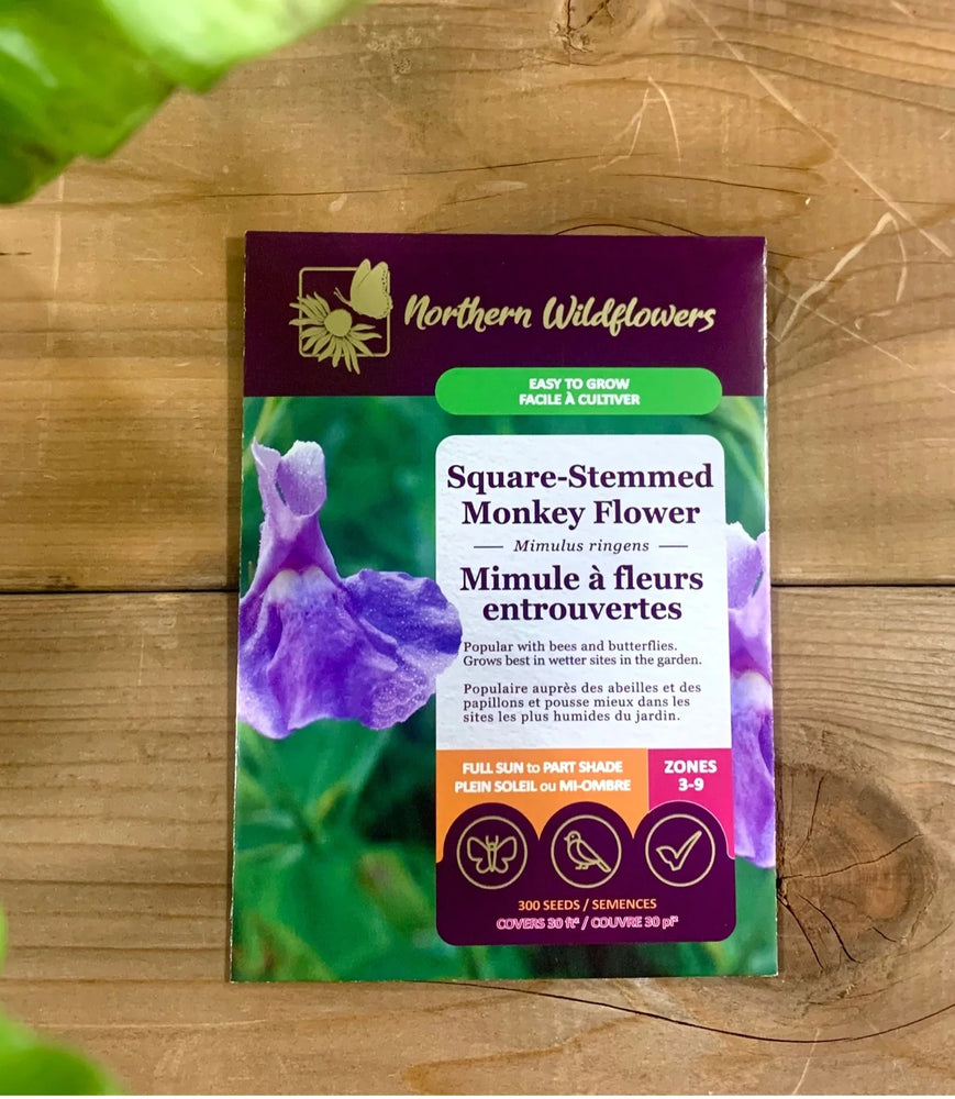 Northern Wildflowers Square Stemmed Monkey Flower - Seed Pack 300  Count