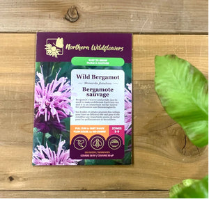 Northern Wildflowers Wild Bergamot- Seed Pack 150  Count