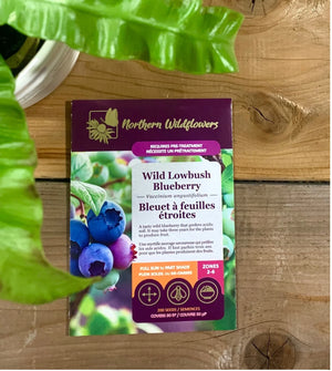 Northern Wildflowers Wild Lowbush Blueberry- Seed Pack 200  Count