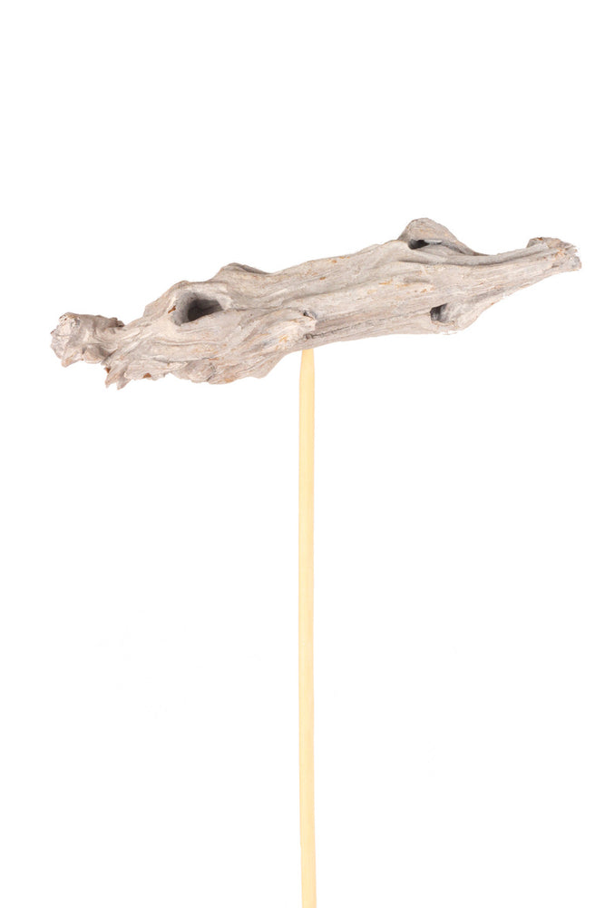 Driftwood on Stem White Wash - Florals And Foliage