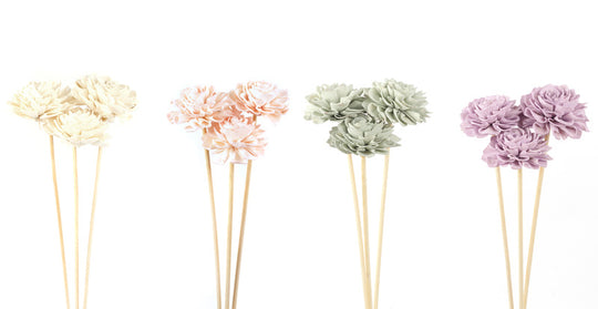 Sola Flower 8cm (Assorted) - Florals and Foliage