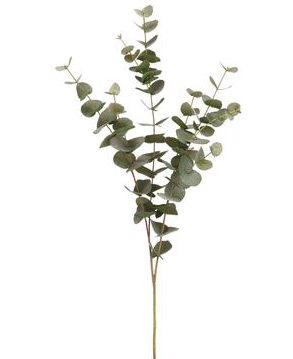 
            
                Load image into Gallery viewer, 40&amp;quot; Eucalyptus Spray Grey / Green - Florals and Foliage
            
        