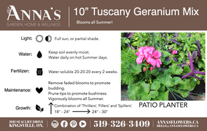 10" Tuscany Square Geranium Patio Pot - Full Sun/Partial Shade (Multiple Colours)