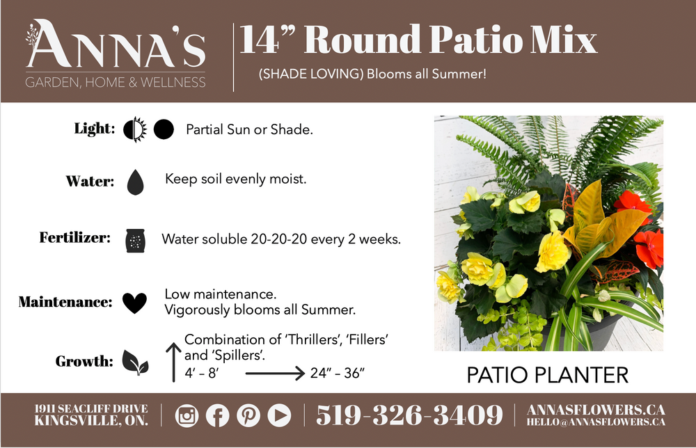 14" Hendrix Round Mix: Partial Sun/Shade