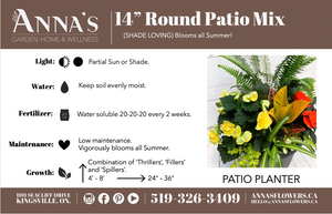 14" Hendrix Round Mix: Partial Sun/Shade