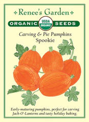 Pumpkin Spookie Organic Seeds