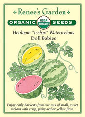 Watermelon Doll Babies Organic Seeds
