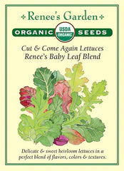 Lettuce Renee's Special Baby Leaf Organic Seeds