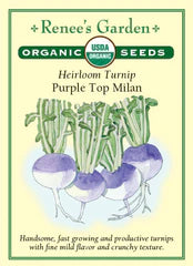 Turnip Purple Top Milan Organic Seeds