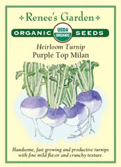 
            
                Load image into Gallery viewer, Turnip Purple Top Milan Organic Seeds
            
        