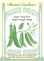 Pea Snap Super Sugar Snap Seeds