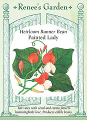 Runner Beans Painted Lady Seeds