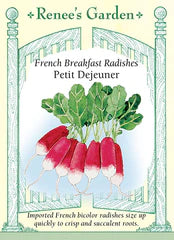 Radish Petit Dejeuner Seeds