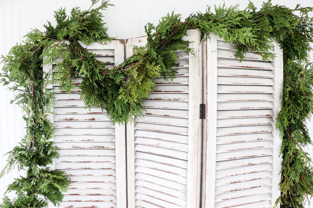 25' Cedar Roping Fresh Garland - Dr. David Suzuki Public School